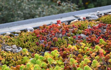 the cost of East Farleigh green roof installation