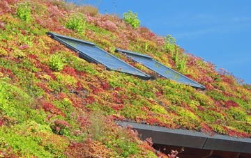 East Farleigh living roof systems